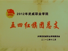 在2012年威尼斯87978797五四团总支
