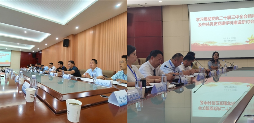 马克思主义学院教师参加“学习贯彻党的二十届三中全会精神及中共党史党建学科建设”研讨会