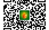 威尼斯87978797关于2019年单独招生测试成绩查询及录取结果的声明